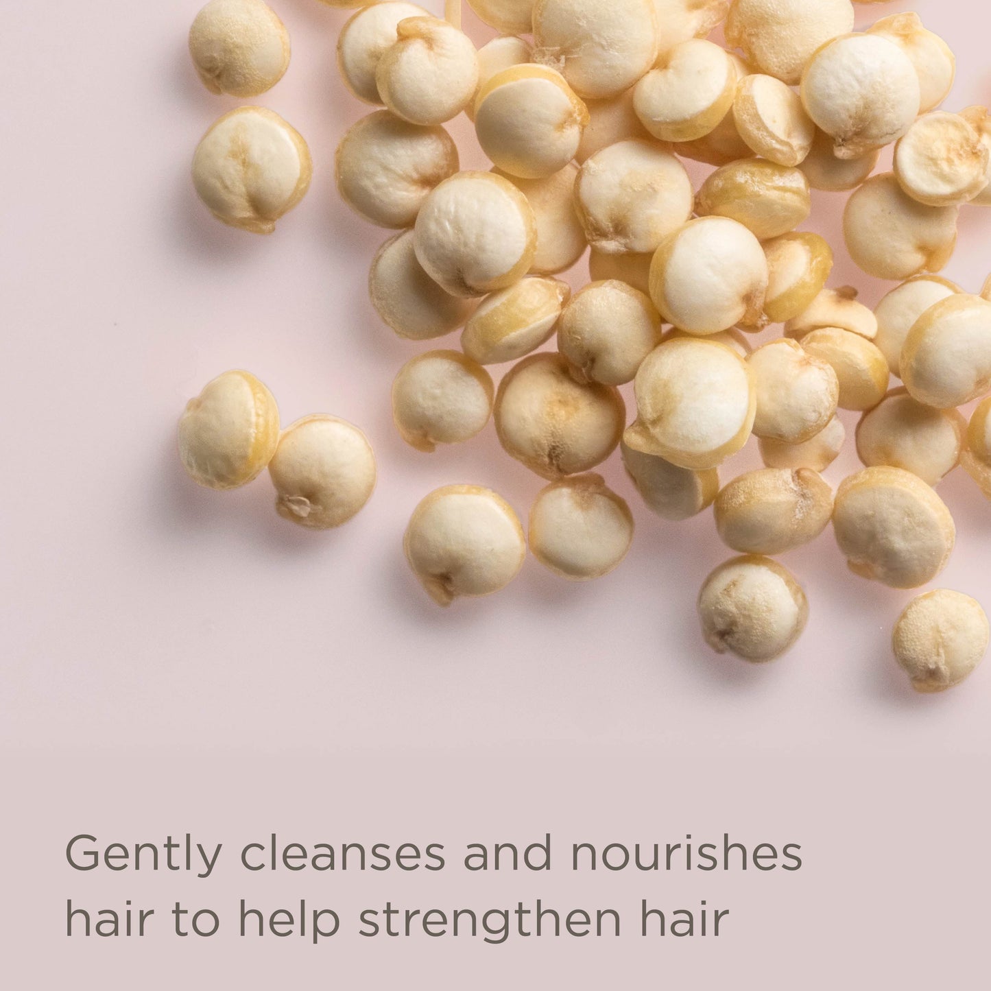 Rice Water Scalp Cleansing Treatment Rinse, 8 Oz