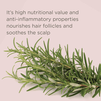 Rice Water Scalp Cleansing Treatment Rinse, 8 Oz